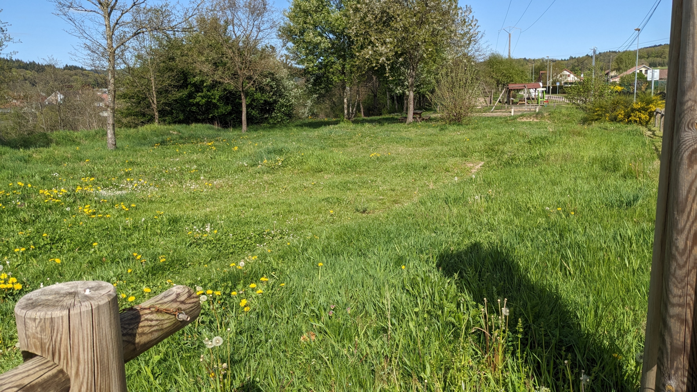 Terrain de bosses